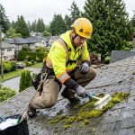 Licensed roofer in safety gear removing moss from asphalt shingle roof on Vancouver home, with green moss patches on north-facing slopes, using soft-bristle brush and eco-friendly solution, residential neighbourhood with evergreens and overcast sky in background