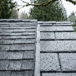 Side-by-side comparison of asphalt shingles and synthetic slate roofing materials on a damp Vancouver roof during light rain, highlighting moisture behavior differences.